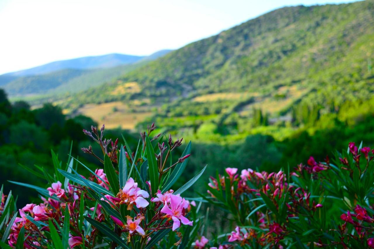 Sosventos Village Hotel Teulada Dış mekan fotoğraf